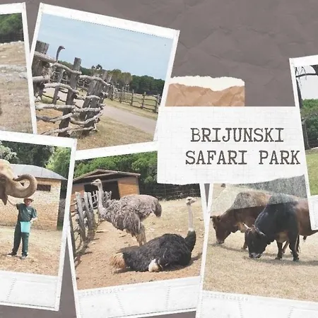 Armani Appartement Medulin