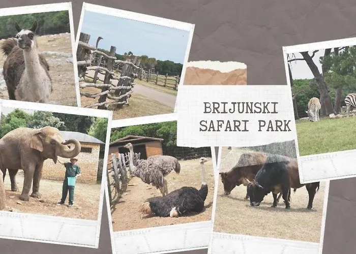 Armani Apartman Medulin